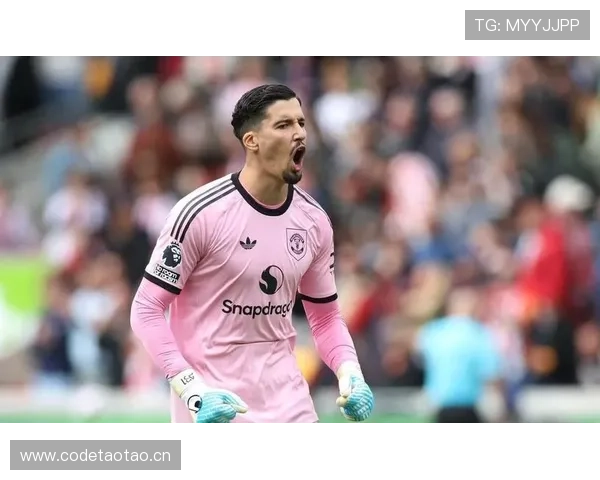 布伦特福德控球能力