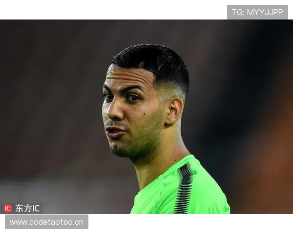 巴尔科拉战术角色解析：体系依赖与个人能力差异